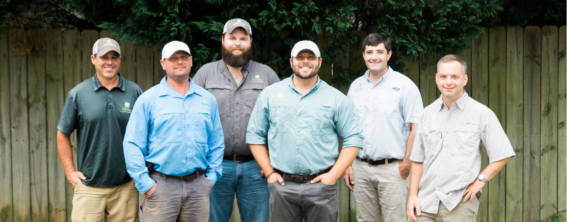 The Green Landscaping Team